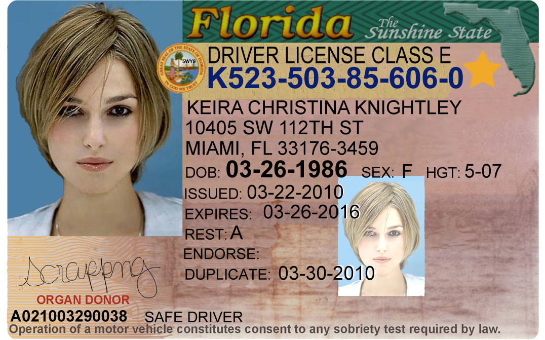 download drivers license template free